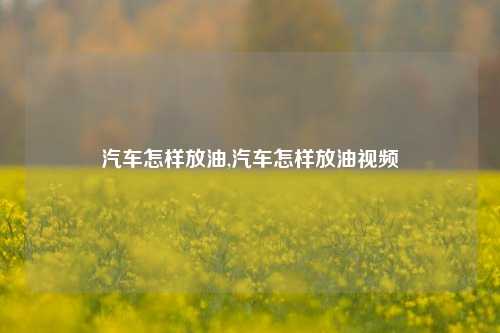 汽车怎样放油,汽车怎样放油视频