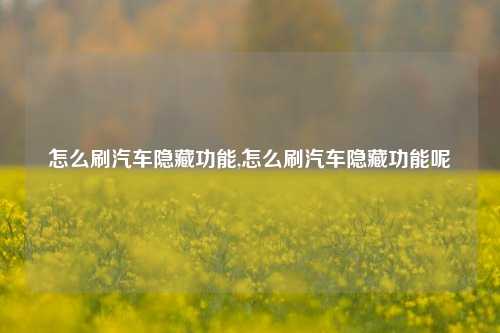 怎么刷汽车隐藏功能,怎么刷汽车隐藏功能呢