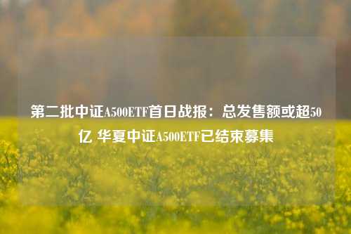 第二批中证A500ETF首日战报：总发售额或超50亿 华夏中证A500ETF已结束募集