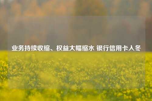 业务持续收缩、权益大幅缩水 银行信用卡入冬