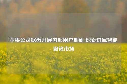 苹果公司据悉开展内部用户调研 探索进军智能眼镜市场