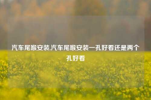 汽车尾喉安装,汽车尾喉安装一孔好看还是两个孔好看