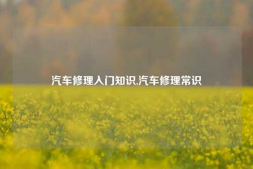 汽车修理入门知识,汽车修理常识