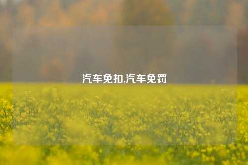 汽车免扣,汽车免罚