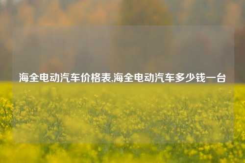 海全电动汽车价格表,海全电动汽车多少钱一台