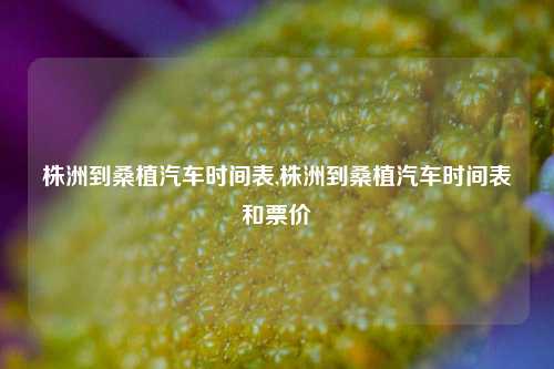 株洲到桑植汽车时间表,株洲到桑植汽车时间表和票价