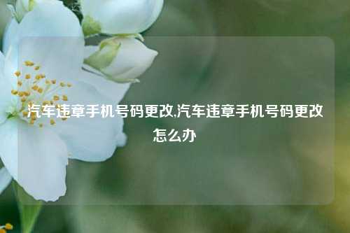 汽车违章手机号码更改,汽车违章手机号码更改怎么办