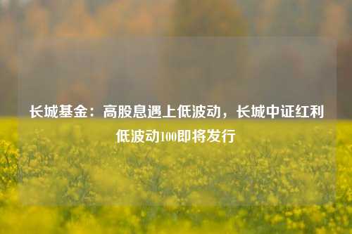 长城基金：高股息遇上低波动，长城中证红利低波动100即将发行