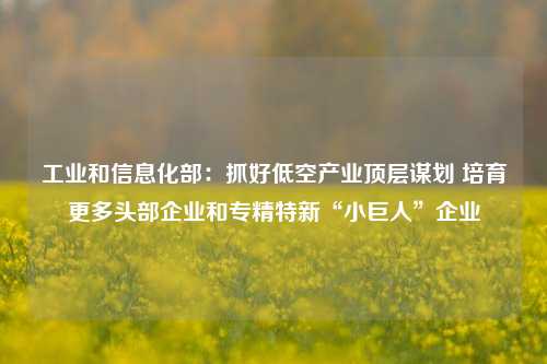 工业和信息化部：抓好低空产业顶层谋划 培育更多头部企业和专精特新“小巨人”企业