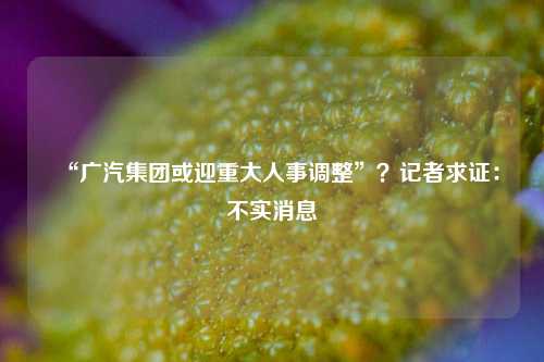 “广汽集团或迎重大人事调整”？记者求证：不实消息