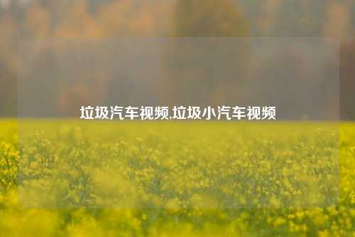 垃圾汽车视频,垃圾小汽车视频