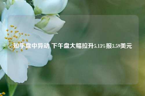 知乎盘中异动 下午盘大幅拉升5.13%报3.59美元