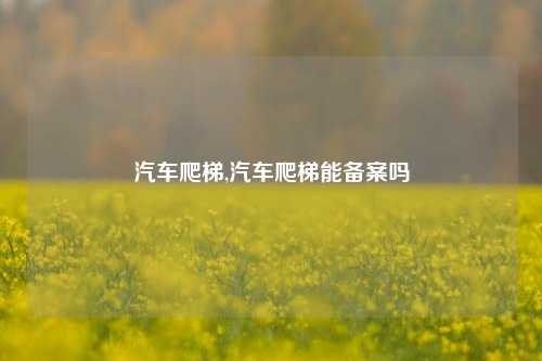 汽车爬梯,汽车爬梯能备案吗