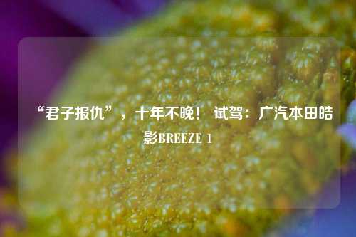 “君子报仇”，十年不晚！ 试驾：广汽本田皓影BREEZE 1