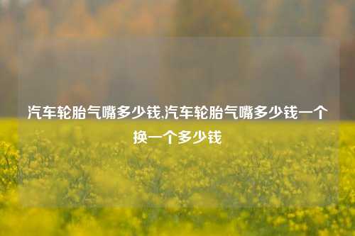 汽车轮胎气嘴多少钱,汽车轮胎气嘴多少钱一个换一个多少钱