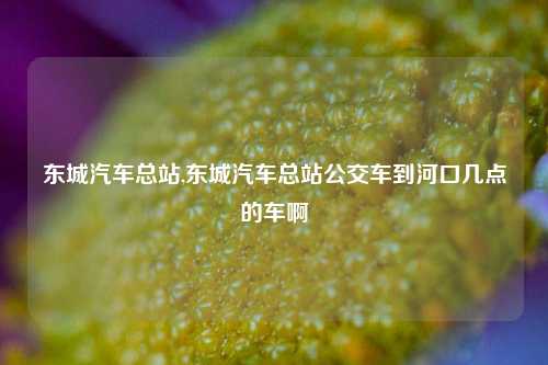 东城汽车总站,东城汽车总站公交车到河口几点的车啊