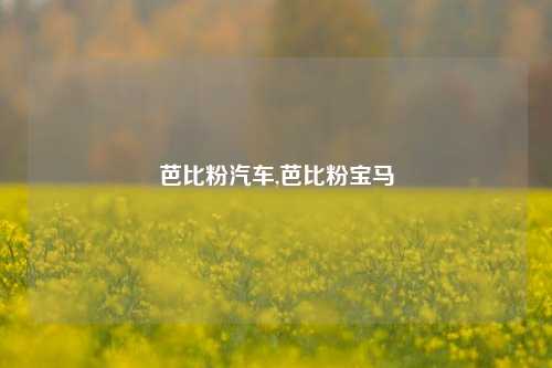 芭比粉汽车,芭比粉宝马