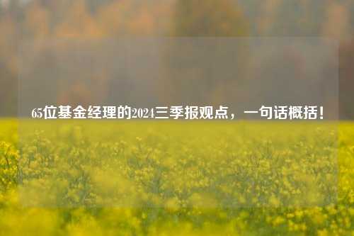 65位基金经理的2024三季报观点，一句话概括！