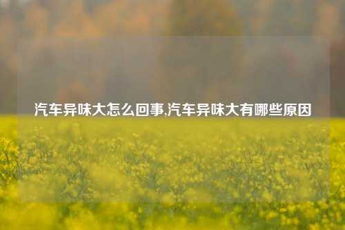 汽车异味大怎么回事,汽车异味大有哪些原因