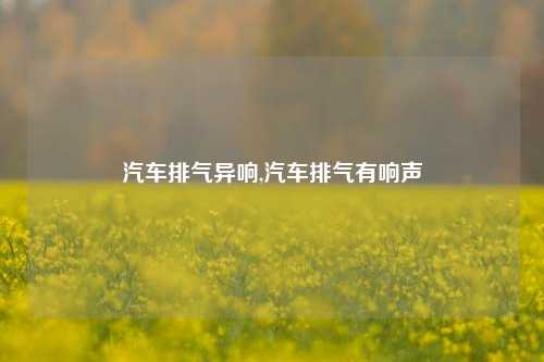 汽车排气异响,汽车排气有响声