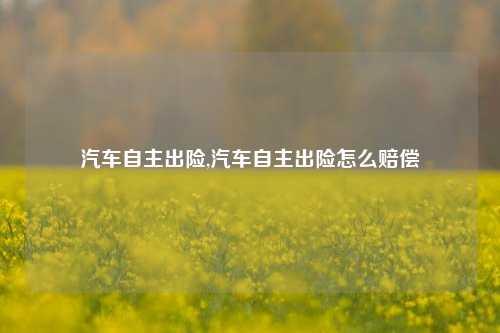 汽车自主出险,汽车自主出险怎么赔偿