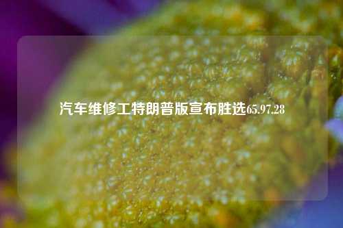 汽车维修工特朗普版宣布胜选65.97.28