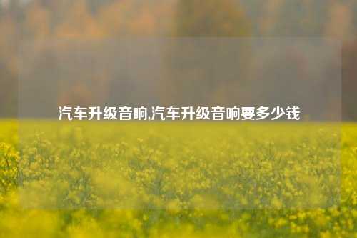 汽车升级音响,汽车升级音响要多少钱