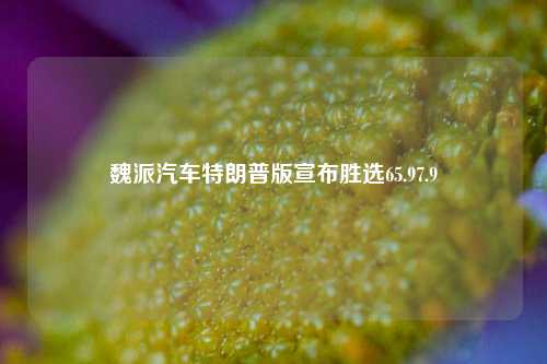 魏派汽车特朗普版宣布胜选65.97.9