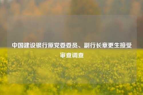 中国建设银行原党委委员、副行长章更生接受审查调查