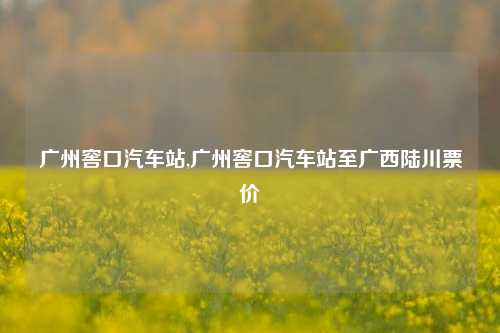 广州窖口汽车站,广州窖口汽车站至广西陆川票价