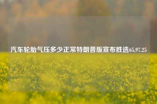 汽车轮胎气压多少正常特朗普版宣布胜选65.97.25