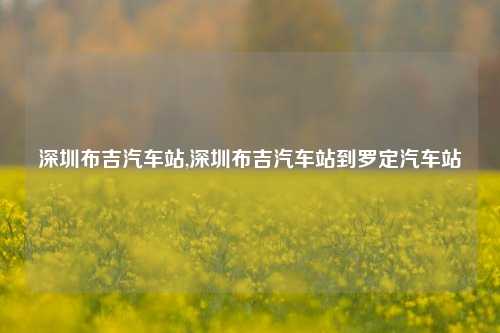 深圳布吉汽车站,深圳布吉汽车站到罗定汽车站