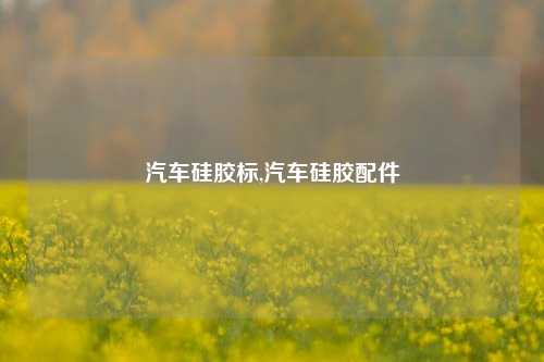 汽车硅胶标,汽车硅胶配件