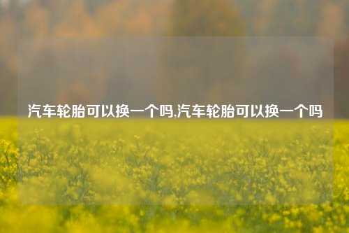 汽车轮胎可以换一个吗,汽车轮胎可以换一个吗