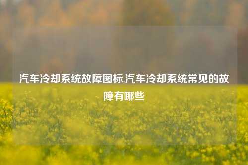 汽车冷却系统故障图标,汽车冷却系统常见的故障有哪些