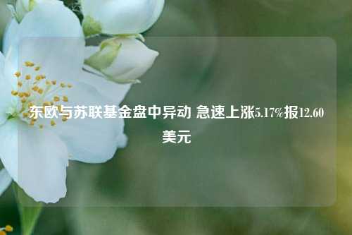 东欧与苏联基金盘中异动 急速上涨5.17%报12.60美元