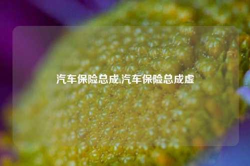 汽车保险总成,汽车保险总成虚