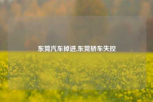 东莞汽车掉进,东莞轿车失控