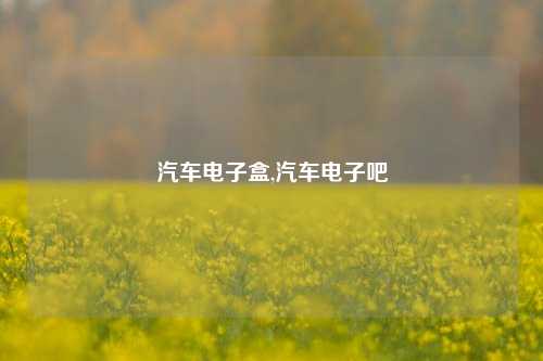 汽车电子盒,汽车电子吧