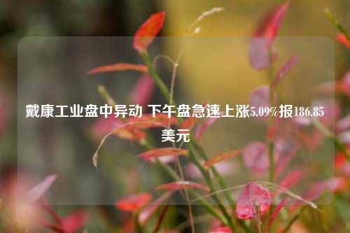 戴康工业盘中异动 下午盘急速上涨5.09%报186.85美元