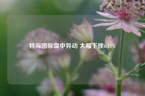 特海国际盘中异动 大幅下挫6.41%