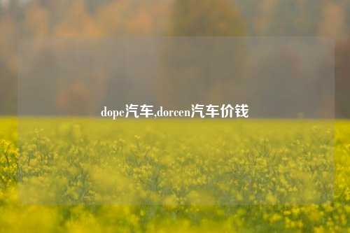 dope汽车,dorcen汽车价钱