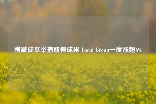 削减成本举措取得成果 Lucid Group一度涨超6%