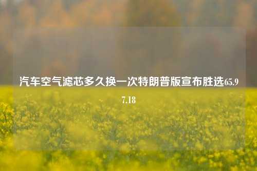 汽车空气滤芯多久换一次特朗普版宣布胜选65.97.18