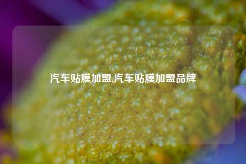 汽车贴膜加盟,汽车贴膜加盟品牌