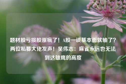 题材股亏损股涨疯了！A股一谈基本面就输了？两位私募大佬发声！吴伟志：麻雀永远也无法到达雄鹰的高度