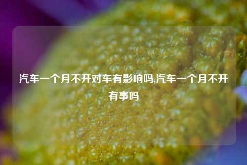 汽车一个月不开对车有影响吗,汽车一个月不开有事吗