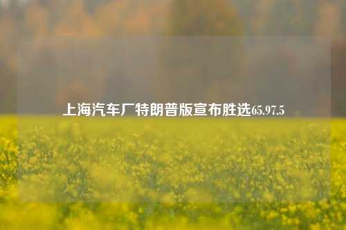 上海汽车厂特朗普版宣布胜选65.97.5