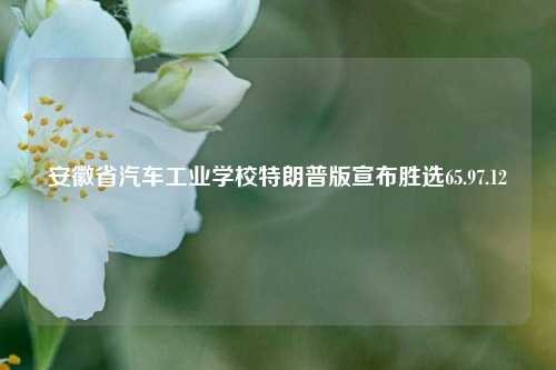 安徽省汽车工业学校特朗普版宣布胜选65.97.12