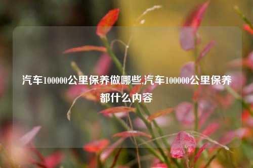 汽车100000公里保养做哪些,汽车100000公里保养都什么内容